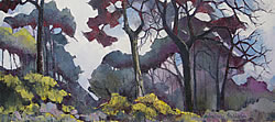 Tree Study - Farnborough Hall - Near Banbury 1 | 2013 | Oil on Canvas | 46 x 64 cm
